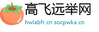 高飞远举网